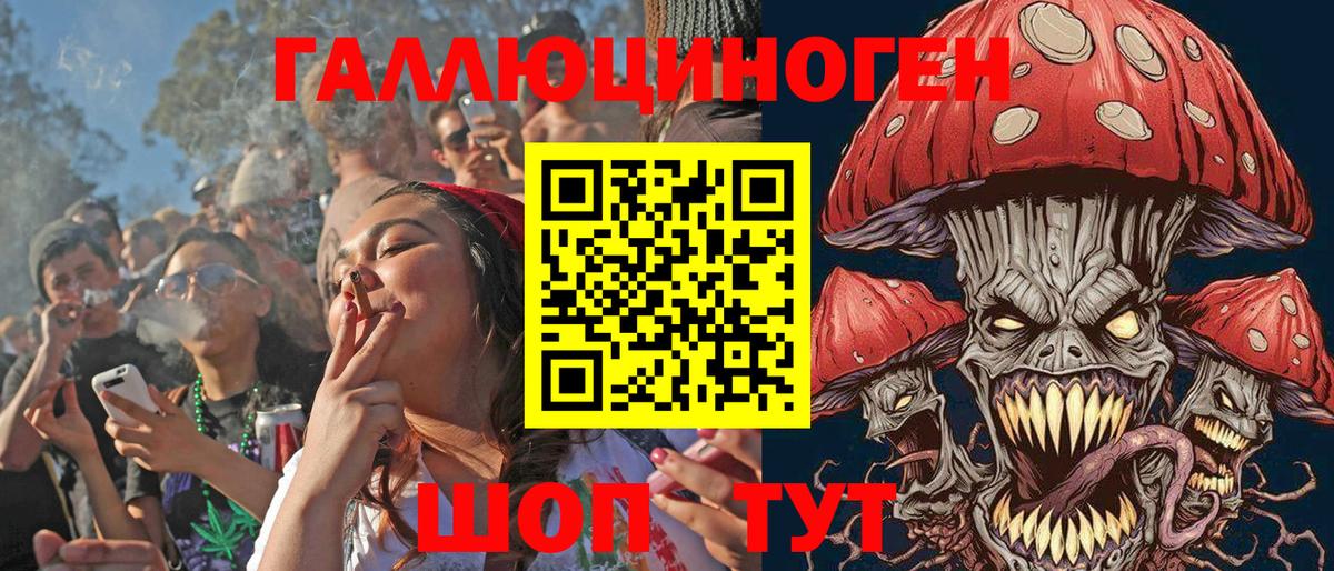 Егорьевск  где купить   Вход с VPN  Галлюциногенные грибы Psilocybe 